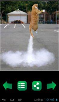 吃瓜娱乐图片搞笑版下载